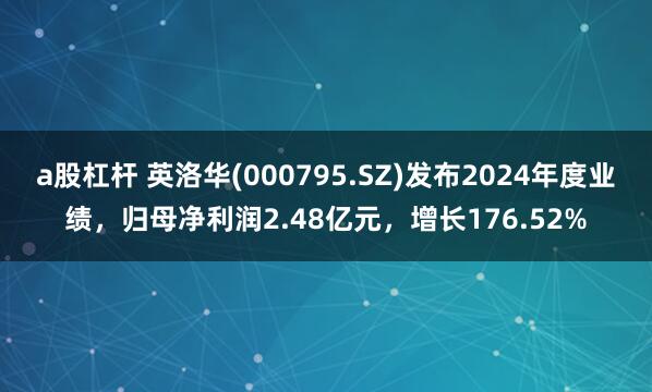 a股杠杆 英洛华(000795.SZ)发布2024年度业绩，归母净利润2.48亿元，增长176.52%