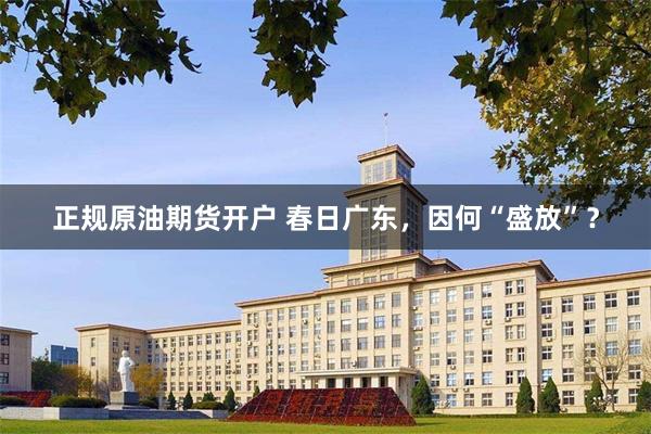 正规原油期货开户 春日广东，因何“盛放”？