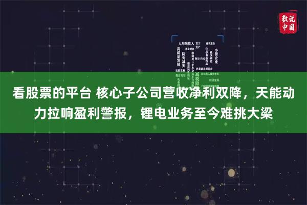 看股票的平台 核心子公司营收净利双降，天能动力拉响盈利警报，锂电业务至今难挑大梁