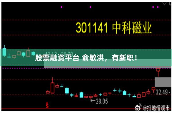 股票融资平台 俞敏洪，有新职！