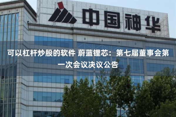 可以杠杆炒股的软件 蔚蓝锂芯：第七届董事会第一次会议决议公告