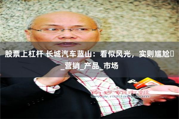 股票上杠杆 长城汽车蓝山：看似风光，实则尴尬​_营销_产品_市场